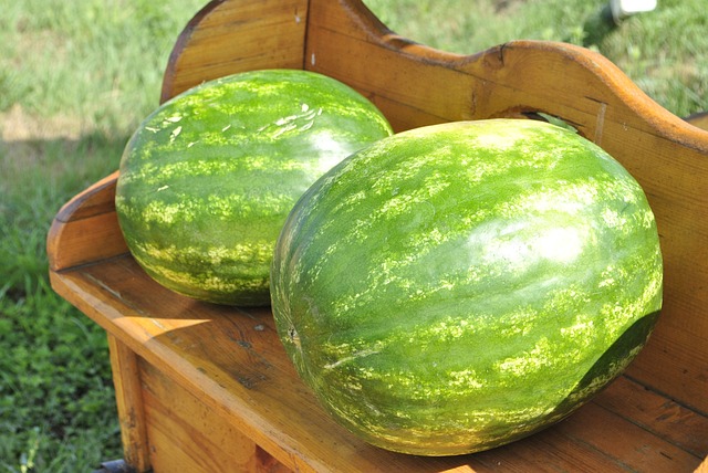 melon