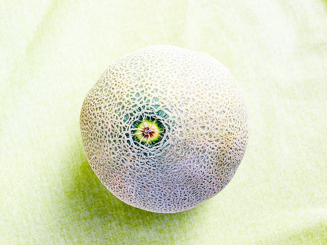 melon