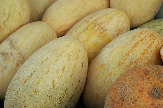 melon