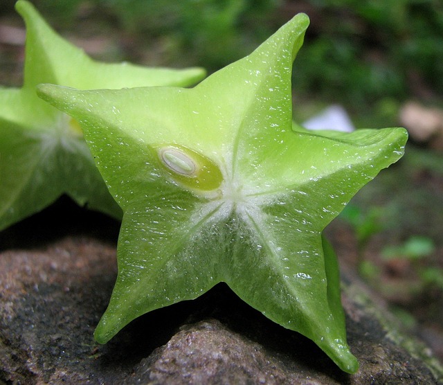 tropical fruits