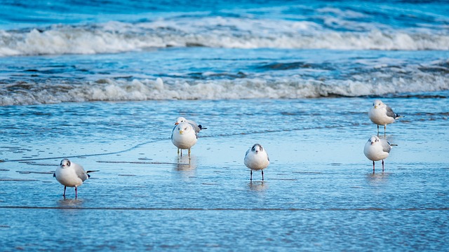 beach