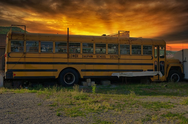 school bus