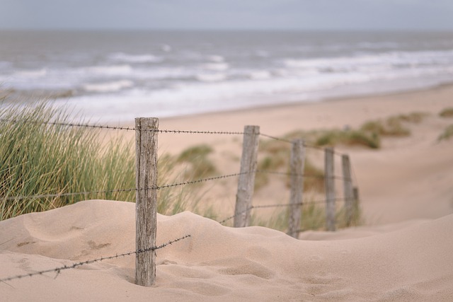 beach