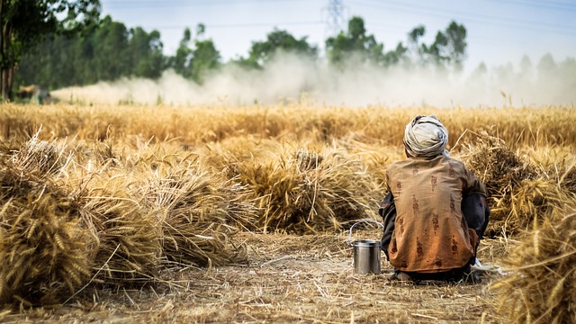farming