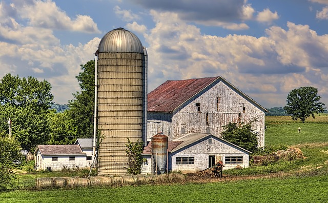 americana
