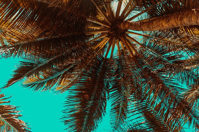 beach