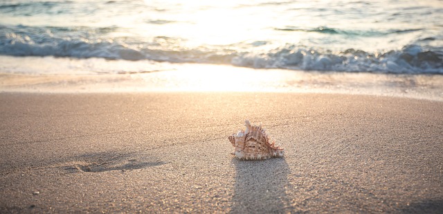 beach