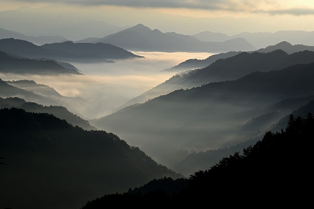 nature