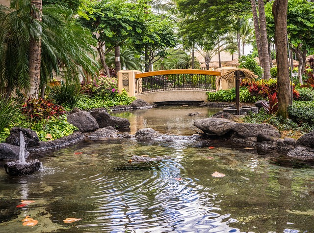 resort