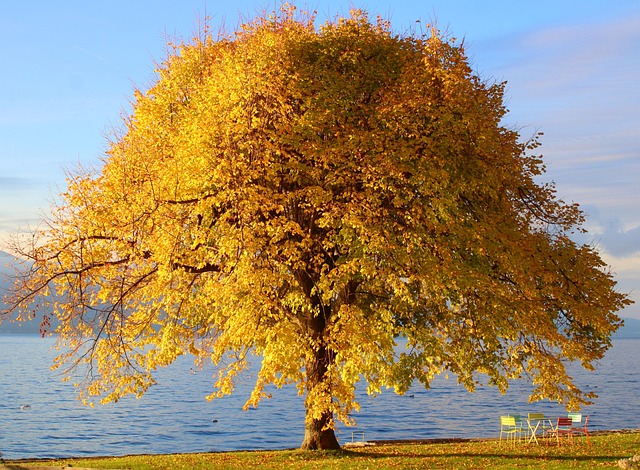 nature