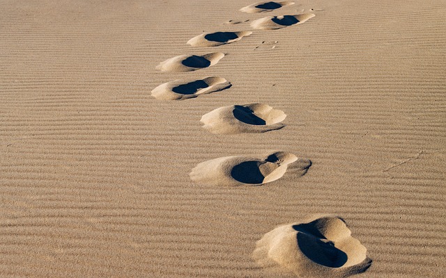 beaches