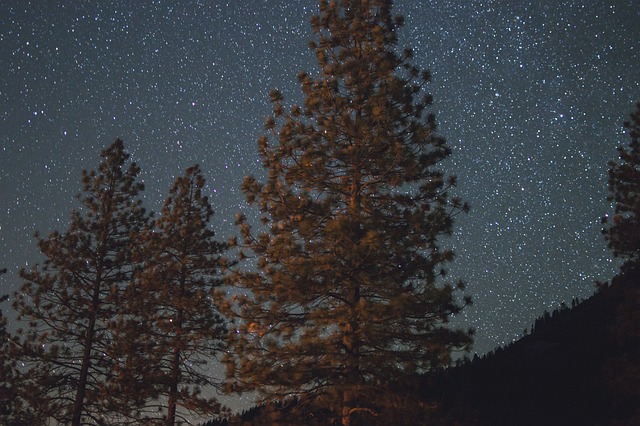 stargazing