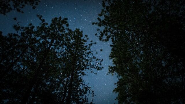 【座間味 星空ツアー】都会では見られない満天の星空！プロ撮影付きで天の川と流れ星を体験