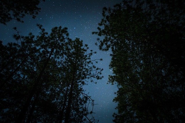 stargazing