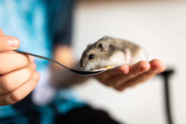 hamsters