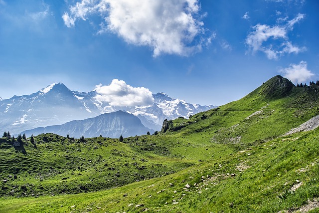 scenery