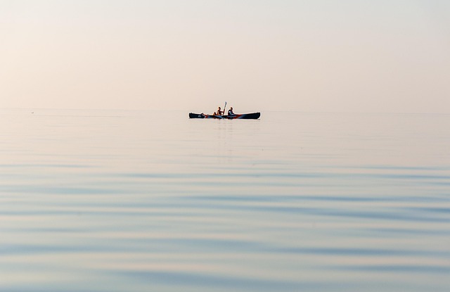 boats