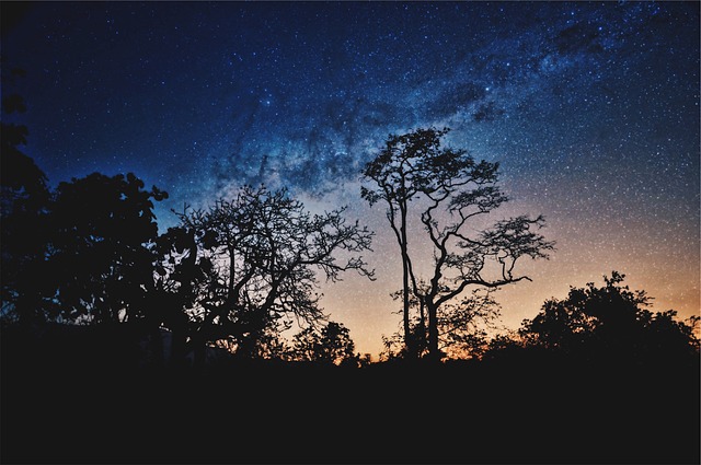 stargazing
