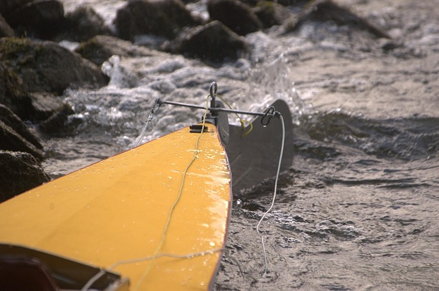 kayak