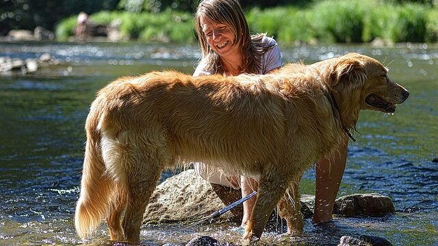 【メイクマン トリミング】沖縄で愛犬を美しく！プロ技術とセルフケアで選べるペットサービス完全ガイド