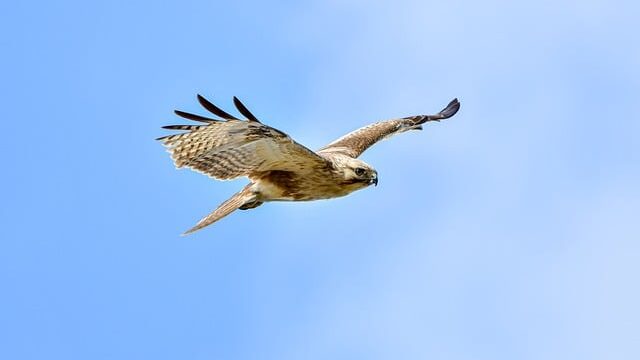 悩み解決の糸口を見つける!沖縄最強ユタの血を引く占い師たち