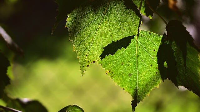 【宮古島】夜光虫に包まれる神秘体験！幻想的な夜の海の魅力