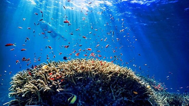 沖縄占いの魅力を徹底解説！人気占い師とユタの不思議な世界へ