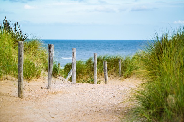 beach