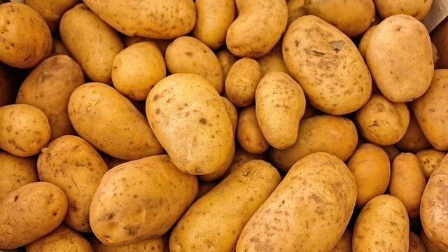 【完全ガイド】アメリカンビレッジお土産食べ物おすすめ15選！限定スイーツから個包装まで用途別に厳選