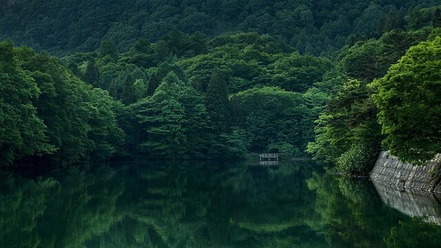 【沖縄 恩納村】神秘的なナイトツアーの魅力とは？星空観測・夜光虫・洞窟探検を完全攻略